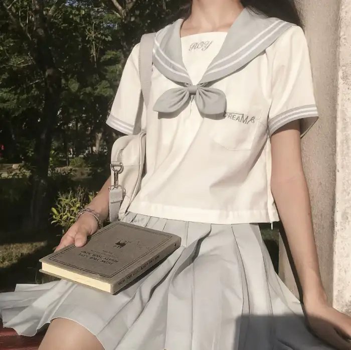方案